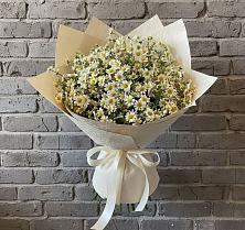 Букет цветов из:  Ромашки в Дубовском