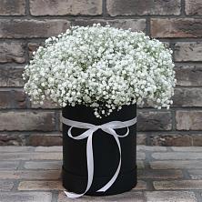 Цветочная композиция из Гипсофила в шляпной коробке в Дубовском
