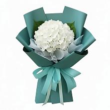 Букет цветов из:  Гортензия в Дубовском